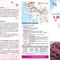 2016년 강화 고려산 진달래축제!!